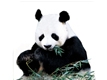 脑筋急转弯 22