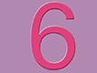 识数6
